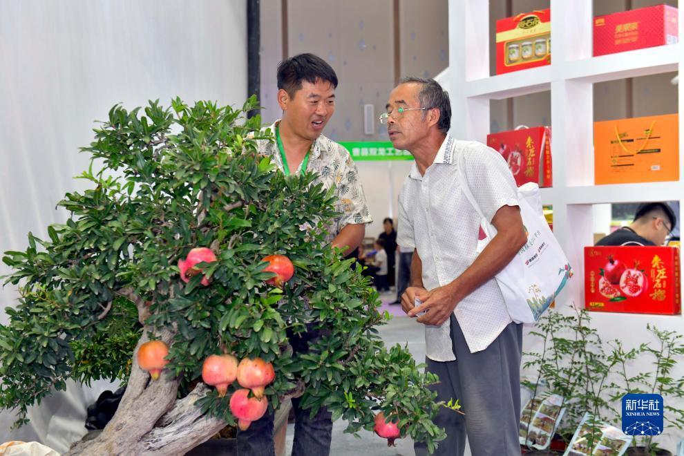 安卓版棋牌
